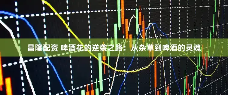昌隆配资 啤酒花的逆袭之路：从杂草到啤酒的灵魂